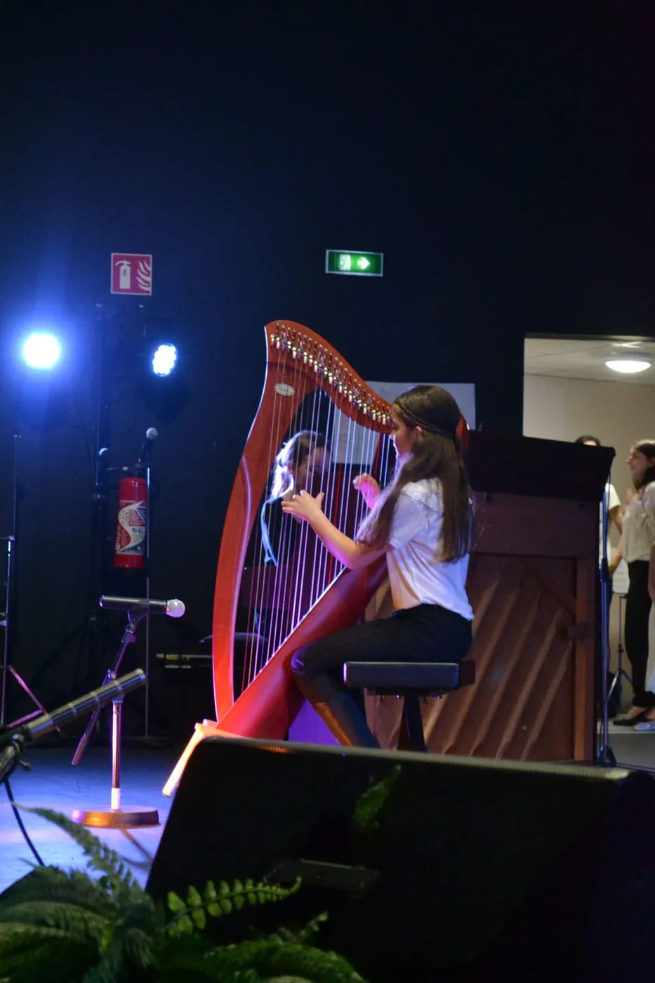 Concert à la Pastourelle — L'école de musique fait son cinéma — 2017 — photo 7