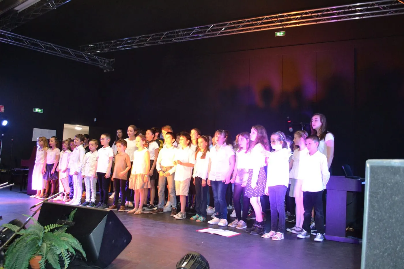 Concert à la Pastourelle — L'école de musique fait son cinéma — 2017 — photo 8