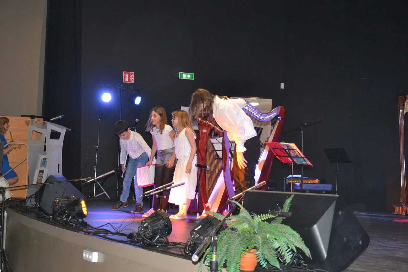 Concert à la Pastourelle — L'école de musique fait son cinéma — 2017 — photo 9