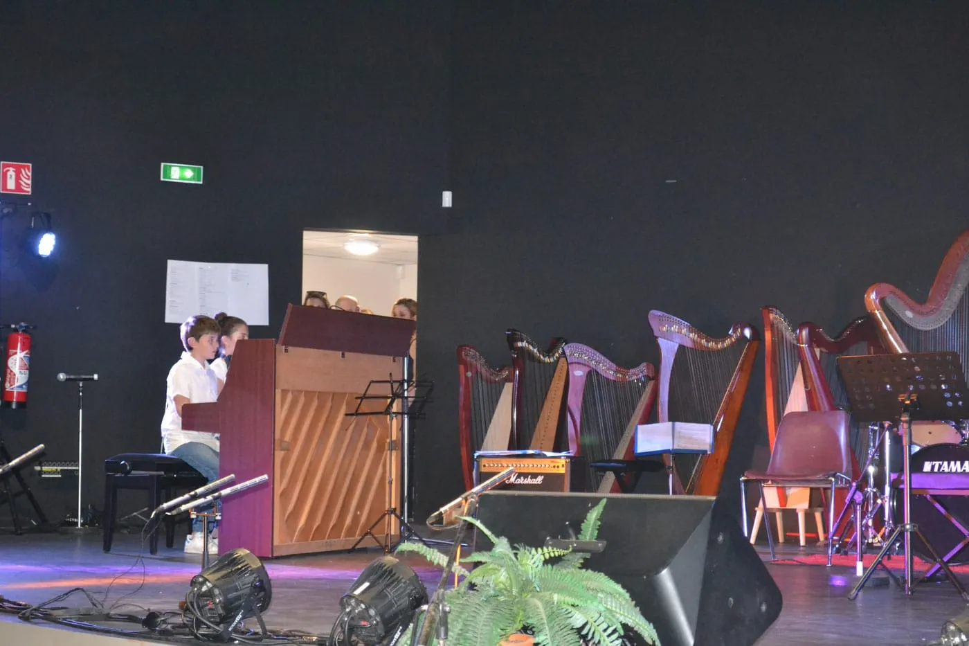 Concert à la Pastourelle — L'école de musique fait son cinéma — 2017 — photo 11