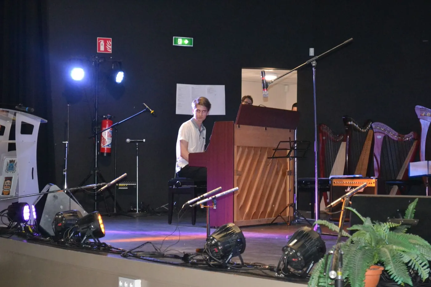 Concert à la Pastourelle — L'école de musique fait son cinéma — 2017 — photo 13
