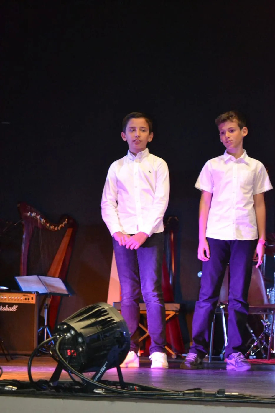 Concert à la Pastourelle — L'école de musique fait son cinéma — 2017 — photo 14