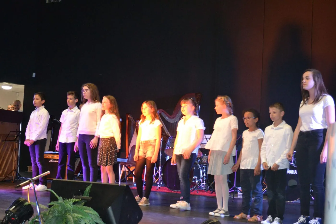 Concert à la Pastourelle — L'école de musique fait son cinéma — 2017 — photo 15