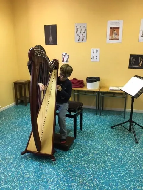 Cours d'initiation à la harpe pour la classe intermédiaire — 2019 — photo 9