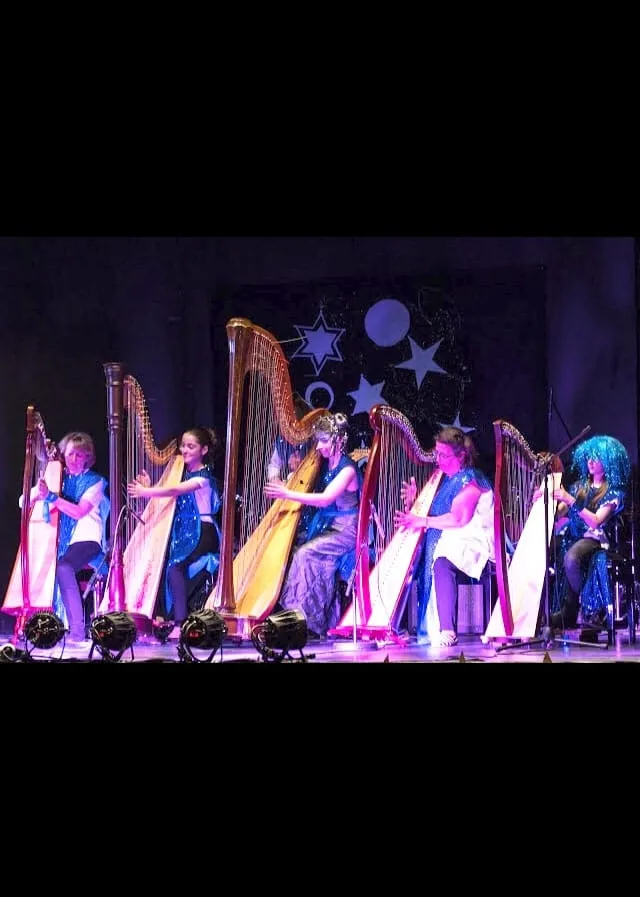 Grand concert à la Pastourelle — Concert dans les étoiles — 2019 — photo 6