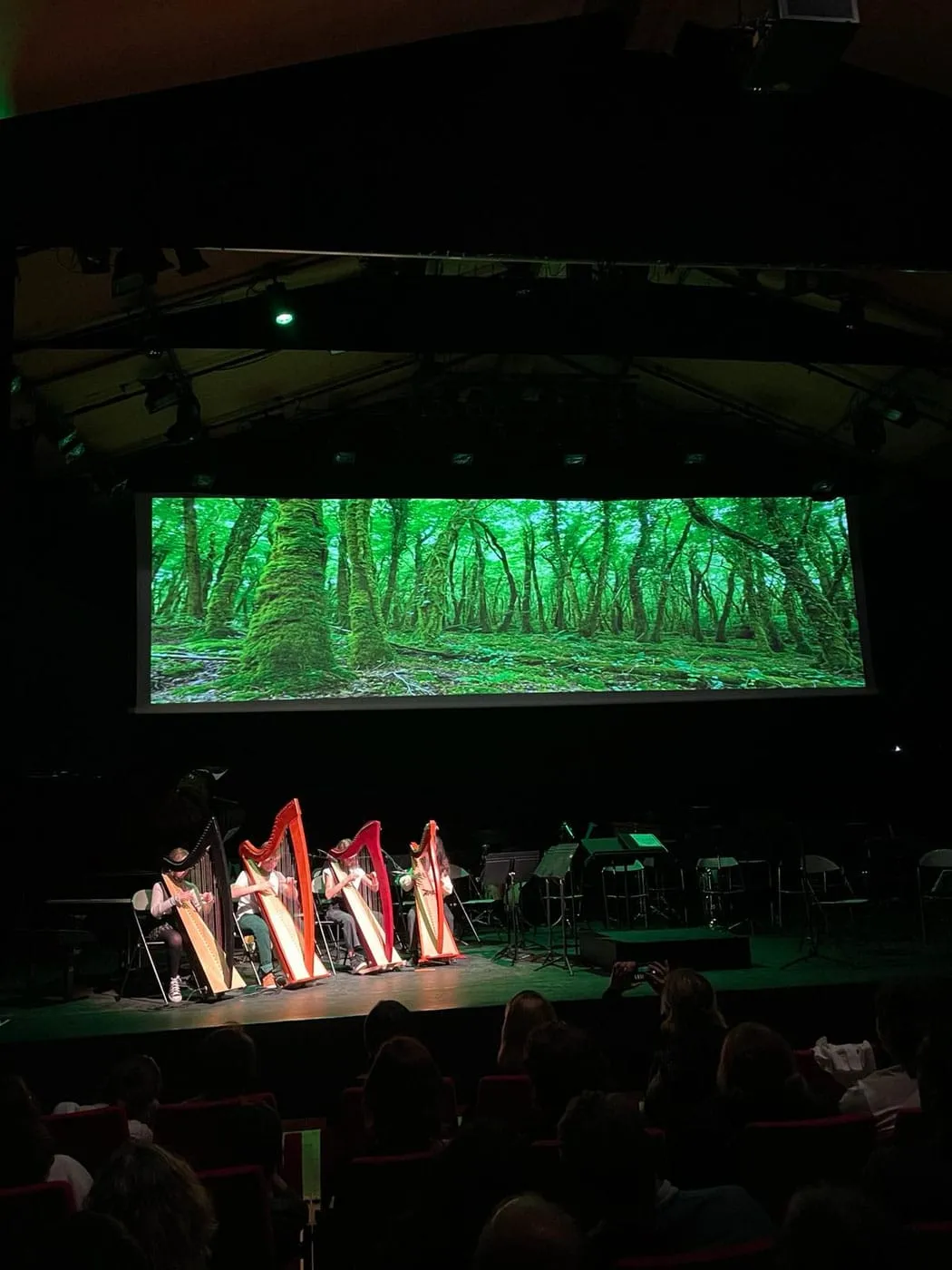 Fête de la musique — 2024 — photo 42